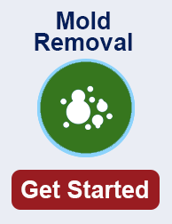 mold remediation in Roswell TN